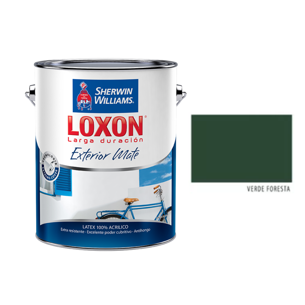 Loxon Exterior Verde Foresta 1 L