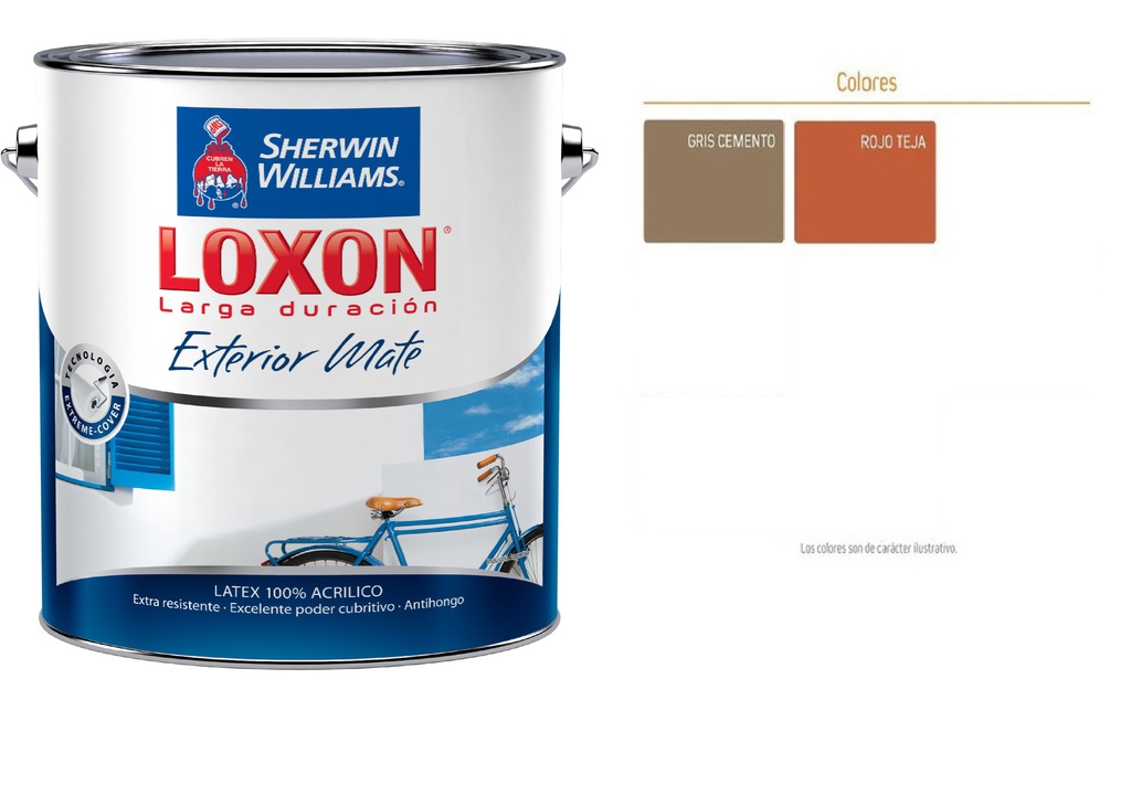 Loxon Exterior Colores 10 L