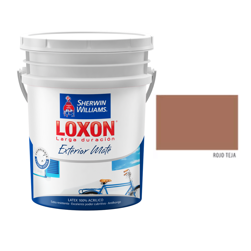 Loxon Exterior Colores 10 L